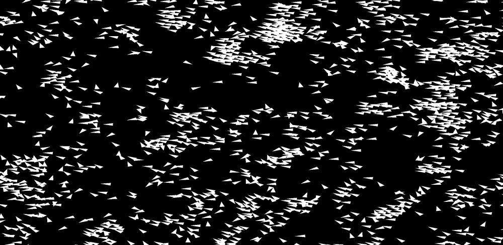 Compute Boids